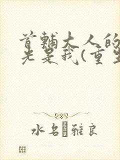 首辅大人的白月光是我(重生)