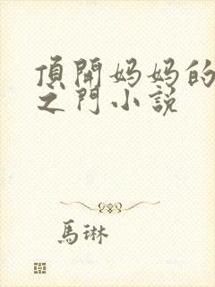 顶开妈妈的生命之门小说