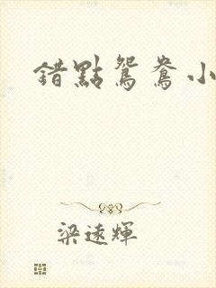 错点鸳鸯小说