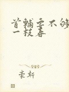 首辅要不够po一枝春