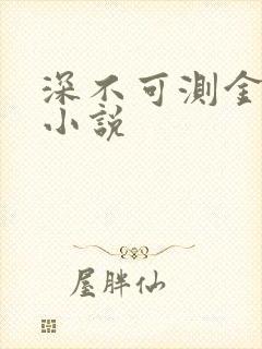 深不可测金银花小说