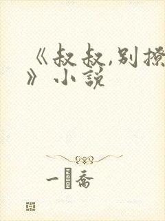 《叔叔,别撩我》小说