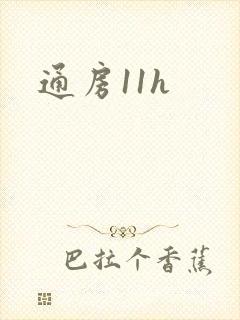 通房11h