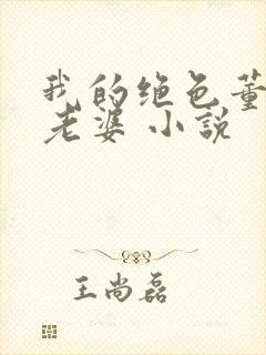 我的绝色董事长老婆 小说