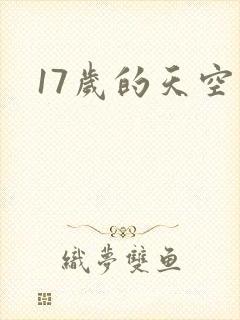 17岁的天空