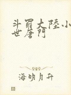 斗罗大陆小说绝世唐门