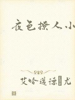 夜色撩人小说