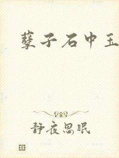 孽子石中玉