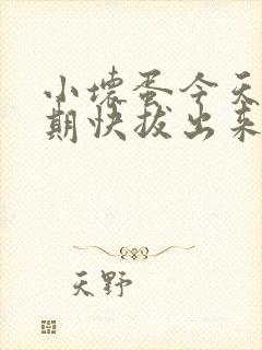 小坏蛋今天危险期快拔出来