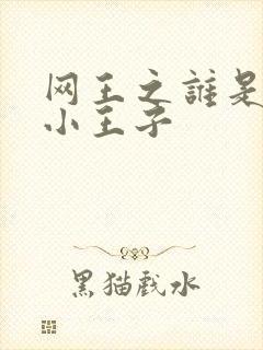 网王之谁是我的小王子