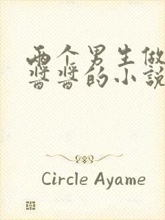 两个男生做酿酿酱酱的小说