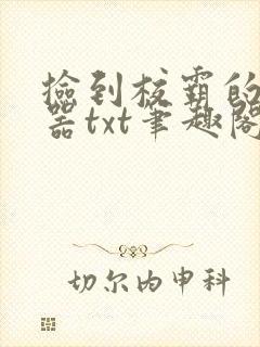 捡到校霸的遥控器txt笔趣阁