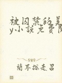 被囚禁的美人by小说免费阅读