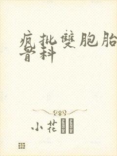 疯批双胞胎兄弟骨科