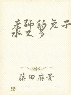 老师的兔子又软水又多