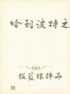 哈利波特之守护