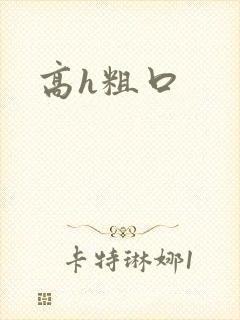 高h粗口