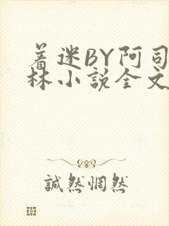 着迷BY阿司匹林小说全文免费阅读