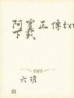 阿宾正传txt下载