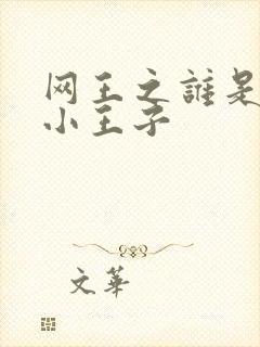 网王之谁是我的小王子