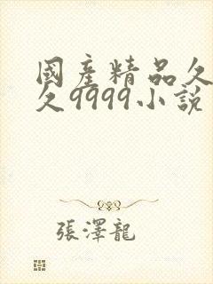 国产精品久久久久9999小说