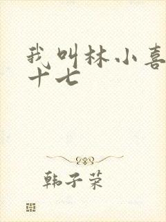 我叫林小喜今年十七