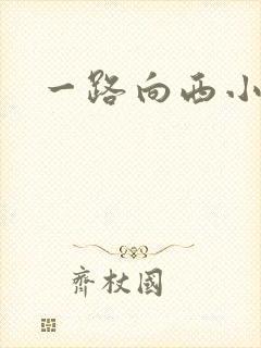 一路向西小说