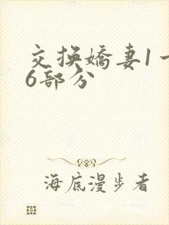 交换娇妻1一36部分
