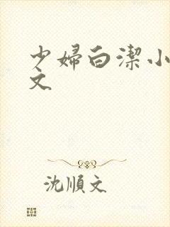 少妇白洁小说全文