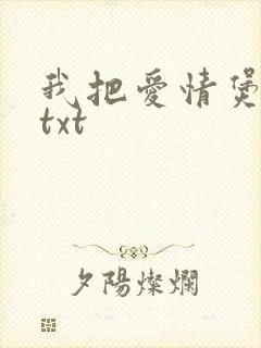 我把爱情煲成汤txt