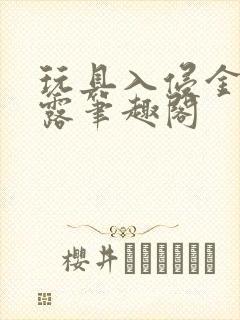 玩具入侵金银花露笔趣阁