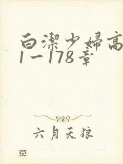 白洁少妇高义第1一178章