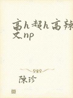 高h超h高辣h文np