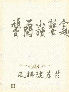 顽石小说全文免费阅读笔趣阁