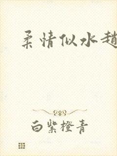 柔情似水赵雅儿