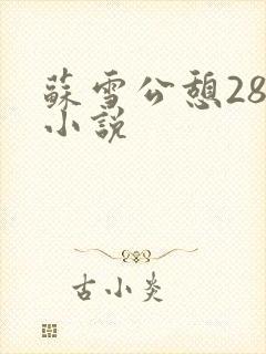 苏雪公憩28篇小说