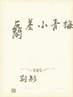 反差小青梅笔趣阁