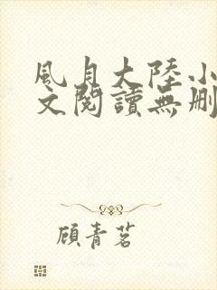 风月大陆小说全文阅读无删减