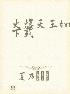 火爆天王txt下载