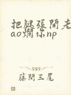 把腿张开老子cao烂你np