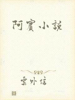 阿宾小说
