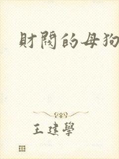 财阀的母狗们