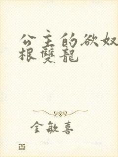 公主的欲奴h四根双龙