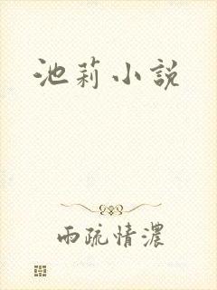池莉小说