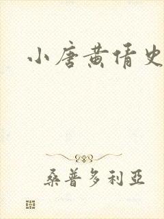 小唐黄倩史