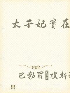 太子妃实在美丽