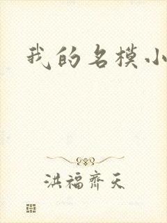 我的名模小娇妻