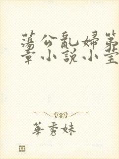 荡公乱妇第51章小说小莹