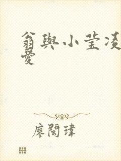 翁与小莹凌晨欢爱