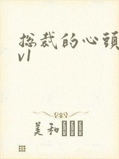 总裁的心头宝1v1